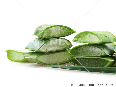 Aloe vera plant Aloe vera plant 58646486