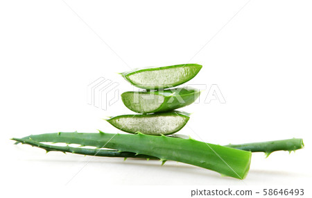 Aloe vera plant 58646493