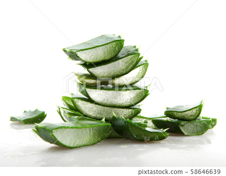 Aloe vera 58646639