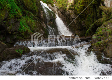 Choodor Waterfall at Lake Teletskoye Choodor Waterfall at Lake Teletskoye 58647442
