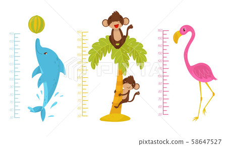 Height Children Chart With African Cute Animal Characters Vector Illustrated Set Height Children Chart With African Cute Animal Characters Vector Illustrated Set 58647527