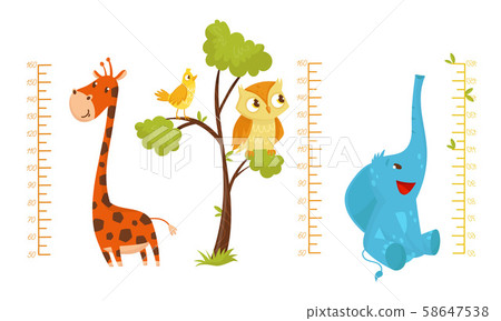 Height Children Chart With African Cute Animal Characters Vector Illustrated Set Height Children Chart With African Cute Animal Characters Vector Illustrated Set 58647538