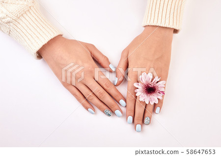 Female hands with manicure and pink chrysanthemum. Female hands with manicure and pink chrysanthemum. 58647653