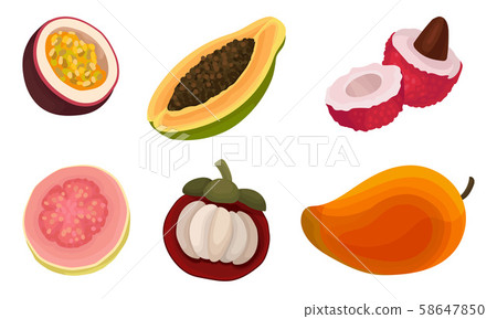 Exotic Tropical Fruit Vector Set Isolated On White Background 58647850