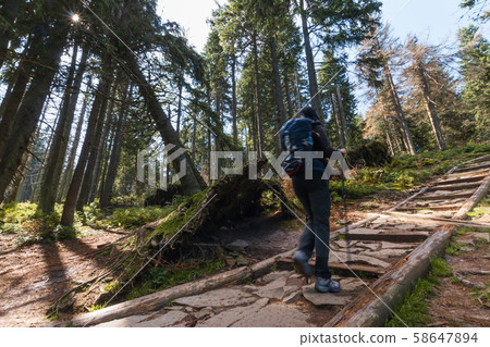 girl tourist in the woods, in the mountains. girl tourist in the woods, in the mountains. 58647894