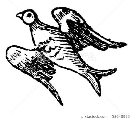 Bird Volant is used in Heraldry to express the Bird Volant is used in Heraldry to express the 58648933