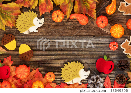 Bright Colorful Autumn Decoration, Copy Space, 58649806