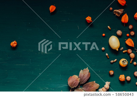 autumn background yellow and red leaves fruit nuts autumn background yellow and red leaves fruit nuts 58650843