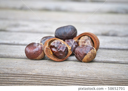 Autumn berries 58652701