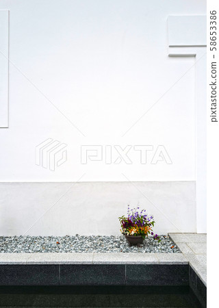 Autumn group planting in front of a white wall 58653386