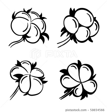 Set of four cotton flowers. Hand drawn cotton flowers in black and white. Vector design elements for Set of four cotton flowers. Hand drawn cotton flowers in black and white. Vector design elements for 58654566