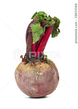 beetroot isolated on white background beetroot isolated on white background 58654569