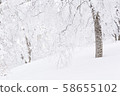 Snow mountain climbing backcountry 58655102
