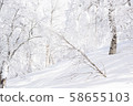 Snow mountain climbing backcountry 58655103