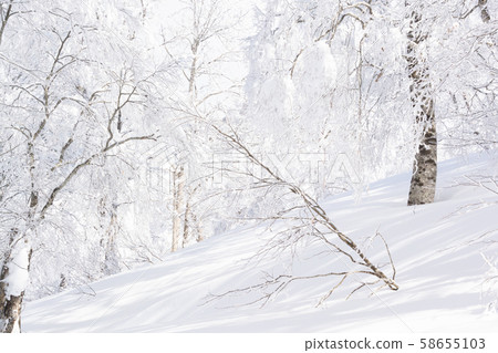 Snow mountain climbing backcountry Snow mountain climbing backcountry 58655103