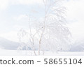 Snow mountain climbing backcountry 58655104