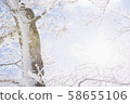 Snow mountain climbing backcountry 58655106