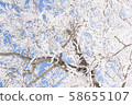 Snow mountain climbing backcountry 58655107