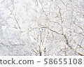 Snow mountain climbing backcountry 58655108
