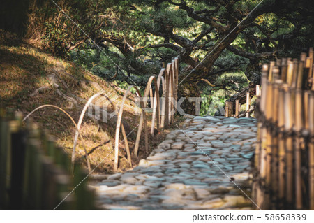 公園風光 58658339