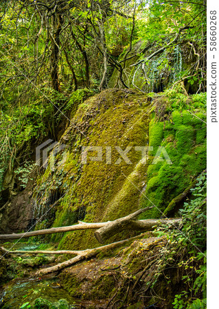 Krushuna Falls are a series of waterfalls in northern Bulgaria, near Lovech. They are famous with their landscape and are formed by many travertines and turquoise blue water. Krushuna Falls are a series of waterfalls in northern Bulgaria, near Lovech. They are famous with their landscape and are formed by many travertines and turquoise blue water. 58660268