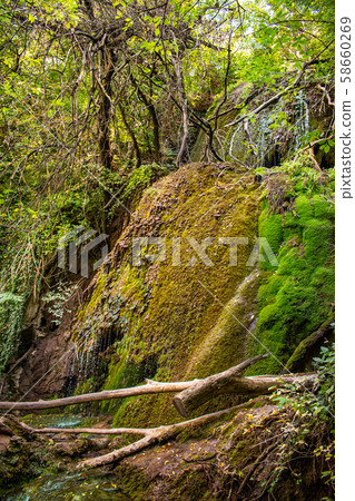 Krushuna Falls are a series of waterfalls in northern Bulgaria, near Lovech. They are famous with their landscape and are formed by many travertines and turquoise blue water. 58660269