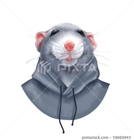 Cute grey rat isolated on white background Cute grey rat isolated on white background 58660943