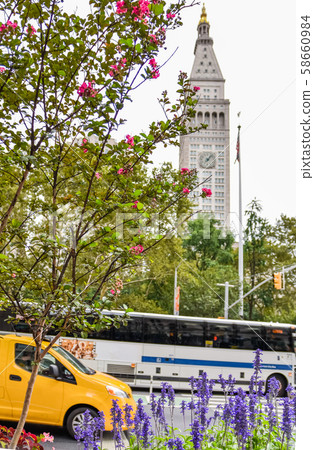 Flowers, taxi and bus at Madison Square, New York 58660984