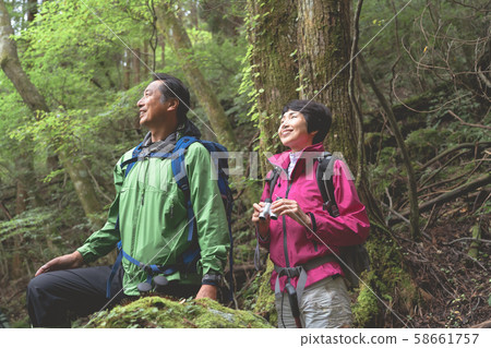Trekking senior 58661757