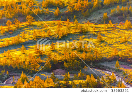 From the highest point of the Japanese National Highway From the highest point of the Japanese National Highway 58663261