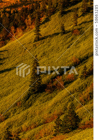 From the highest point of the Japanese National Highway 58663285