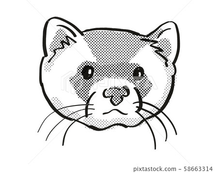 black-footed ferret Endangered Wildlife Cartoon 58663314