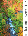 Autumn leaves in the Matsukawa Valley 58664103
