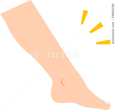 Side of foot from calf to foot Side of foot from calf to foot 58664286