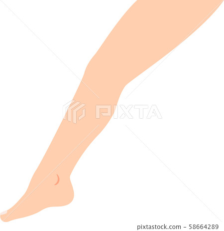 Illustration of a simple leg seen from the side 58664289