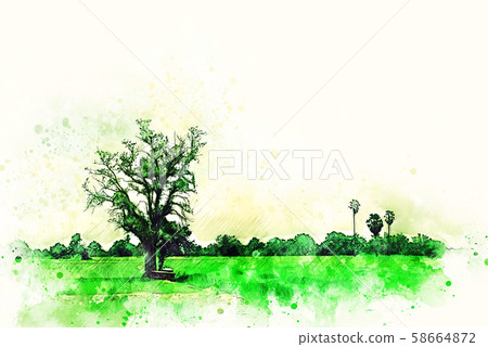Abstract Colorful field and landscape tree on watercolor illustration painting background. Abstract Colorful field and landscape tree on watercolor illustration painting background. 58664872