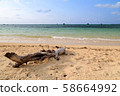 Miyakojima 58664992