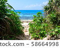 Miyakojima 58664998