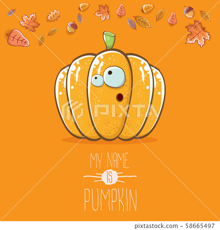 vector funny cartoon cute orange smiling pumkin isolated on orange background. My name is pumkin 58665497