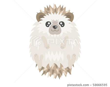 刺猬 刺猬 58666595