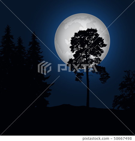 Realistic illustration of a landscape with Realistic illustration of a landscape with 58667498