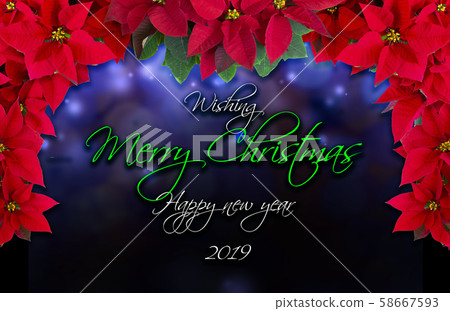 Birth Day, Birth Day, Kaha, Christmas Red, Christmas, greeting card, greeting car 58667593