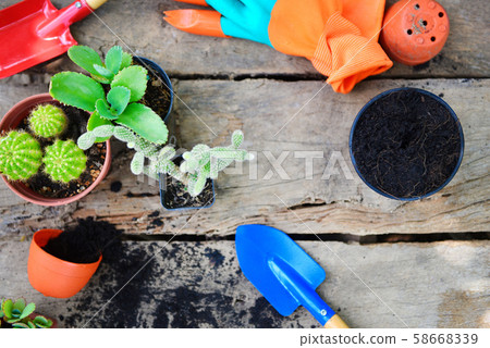 Gardening tools on wooden background ready to Gardening tools on wooden background ready to 58668339