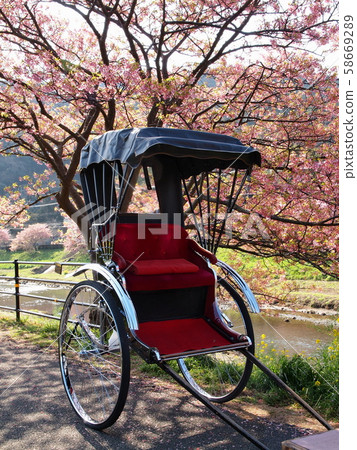 南櫻和人力車 南櫻和人力車 58669289