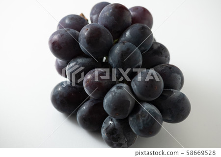 巨峰葡萄 58669528