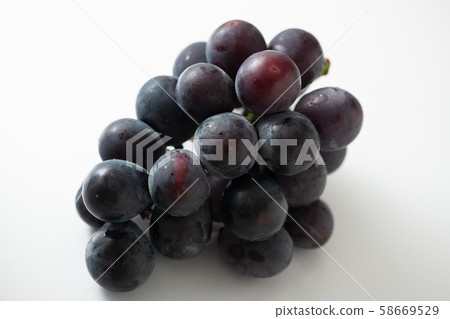 巨峰葡萄 58669529
