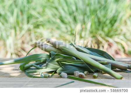 lemon grass stalk on wooden with lemon grass plant 58669700