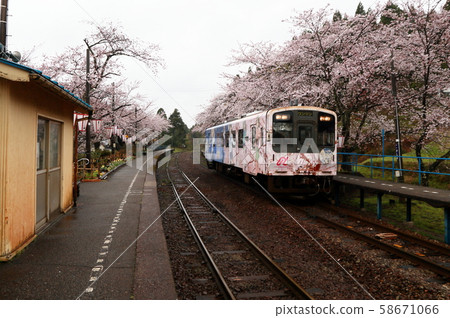 Notojima Sakura Station 58671066