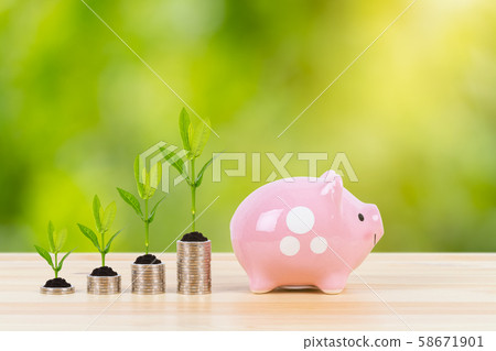Pink piggy bank, and coin stack with growing 58671901
