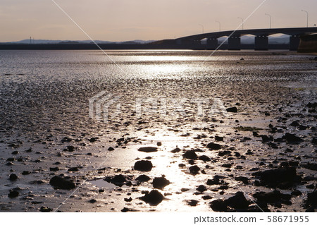 Kawaguchi no Shine Tidal Flat 58671955